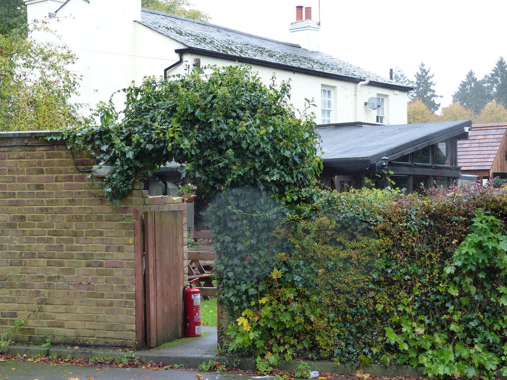 The Sun Inn Englefield Green Zewnętrze zdjęcie